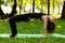 Beautiful adult woman in park engaged in yoga and gymnastics outdoors. Healthy lifestyle, caring for body