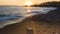 Beautiful adult young woman enjoying a sunbath on the beach during a coloured, sunset - concept of travel and summer holiday