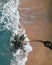 Beautiful aerial of a beach in Costa Rica with foamy ocean waves approaching a fallen palm tree