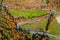 Beautiful aerial landscape of mountain forest road. Aerial view of curvy road in beautiful autumn forest