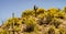 Beautiful Aerial Landscape Of The Open Land West Of Congress, Arizona