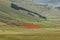 Beautiful aerial panoramic view of Pian Grande during summer flowering, Castelluccio di Norcia, Italy