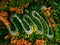 Beautiful aerial view of a curvy winding road with serpentine and colorful autumn trees