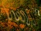 Beautiful aerial view of a curvy winding road with serpentine and colorful autumn trees