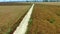 Beautiful aerial view of a deserted country road passing through yellow fields of wheat