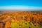 Beautiful aerial view of the golden autumn.