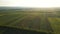 Beautiful Aerial View of Green Agricultural field on Sunrise.