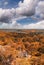 Beautiful aerial view of Old Sheldon Church and surrounding forest, South Carolina