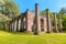 Beautiful aerial view of Old Sheldon Church and surrounding forest, South Carolina