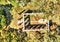 Beautiful aerial view of Old Sheldon Church and surrounding forest, South Carolina