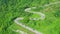 Beautiful aerial view of road between green and yellow pine tree forest in Thailand. Car moving on road