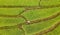 Beautiful aerial view scenery of rice terrace at Baan Pa Bong Piang,Chiang Mai province,Thailand,Rice terraces