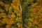 Beautiful aerial view of slovakian landscape in autumn. Mountain range Vtacnik.