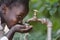 Beautiful African Child Drinking from a Tap Water Scarcity Symbol