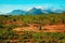 beautiful african landscape in Kenya. Tsavo National Park