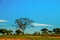 beautiful african landscape in Kenya. Tsavo National Park