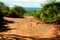 beautiful african landscape in Kenya. Tsavo National Park