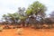 Beautiful african landscape, Waterberg Plateau National Park, Namibia