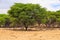 Beautiful african landscape, Waterberg Plateau National Park, Namibia