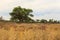 Beautiful african landscape, Waterberg Plateau National Park, Namibia