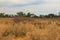 Beautiful african landscape, Waterberg Plateau National Park, Namibia