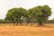 Beautiful african landscape, Waterberg Plateau National Park, Namibia