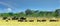 Beautiful African panorama with elephants and wildebeest