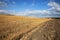 Beautiful, agricultural landscape with reaped wheat field and blue sky with dramatic clouds