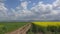 Beautiful agriculture landscape, alley next yellow field, white fluffy clouds on blue serene sky