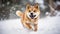 A beautiful Akita-Inu running outside in the snow. Generative AI