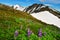 Beautiful Alaskan mountains and landscape in summertime