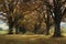 Beautiful alley colorful trees autumn natural background,  Germany