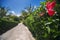 Beautiful alley with flowers in the park of caribbean resort