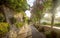 Beautiful alley full of trees and flowers on Capri Island, Italy