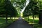 Beautiful alley in the Park with green trees, trimmed square.