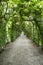 Beautiful Alley In Park. Walkway Lane Path Through Pergola With Green Leaves