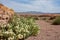 Beautiful along the famous White Owl Canyon trail