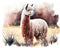 Beautiful alpaca in the field, watercolor.
