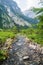 Beautiful Alpine brook with green meadow and mountains in the back. Berchtesgaden National Park