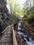 Beautiful Alpine Gorge in the middle of the mountain