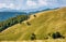 Beautiful alpine grassy meadow in Carpathians