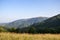 Beautiful alpine grassy meadow with clear sky above mountains and forest. Carpathian mountains, Ukraine
