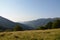 Beautiful alpine grassy meadow with clear sky above mountains and forest. Carpathians, Ukraine