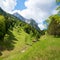 Beautiful alpine landscape Mittenwald with green pasture, hay hut and forest in spring