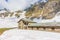 Beautiful Alpine lodge in the snowy landscape in Gran Paradiso National Park, Italy