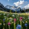 Beautiful alpine meadow with wildflowers and mountains in background