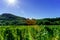 Beautiful alsacien autumnal landscape with green hills and vineyards