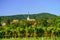 Beautiful alsacien autumnal landscape with green hills and vineyards