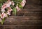 Beautiful Alstroemeria flowers on dark wooden background.