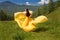 A beautiful Altai girl in a yellow dress walks in the Altai mountains in the summer. Tourism concept